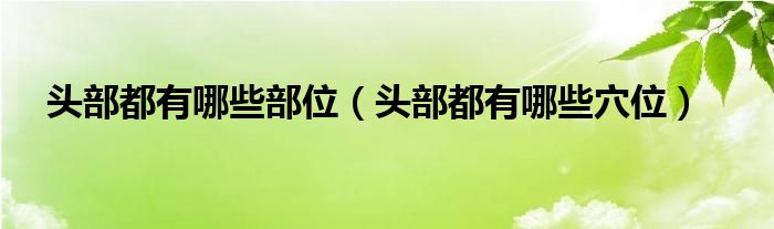 头部都有哪些部位（头部都有哪些穴位）