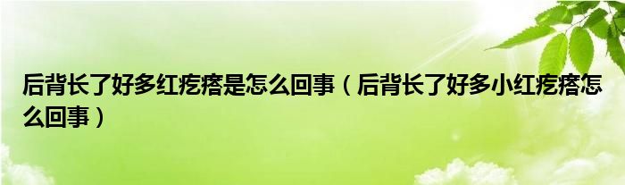 后背长了好多红疙瘩是怎么回事（后背长了好多小红疙瘩怎么回事）