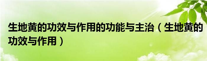 生地黄的功效与作用的功能与主治（生地黄的功效与作用）