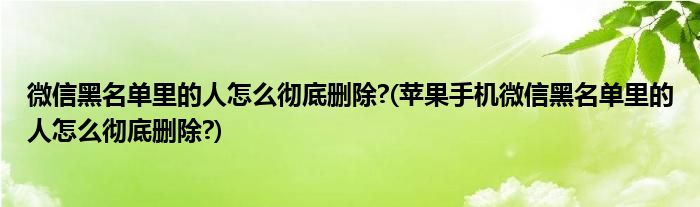 微信黑名单里的人怎么彻底删除?(苹果手机微信黑名单里的人怎么彻底删除?)