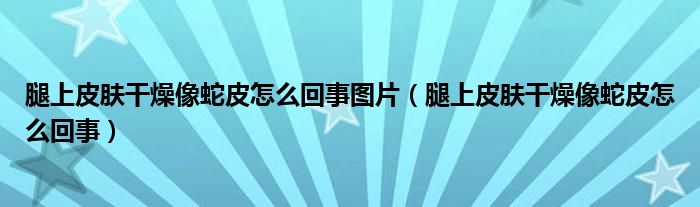 腿上皮肤干燥像蛇皮怎么回事图片（腿上皮肤干燥像蛇皮怎么回事）