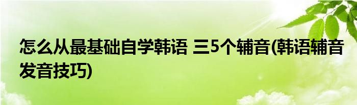 怎么从最基础自学韩语 三5个辅音(韩语辅音发音技巧)