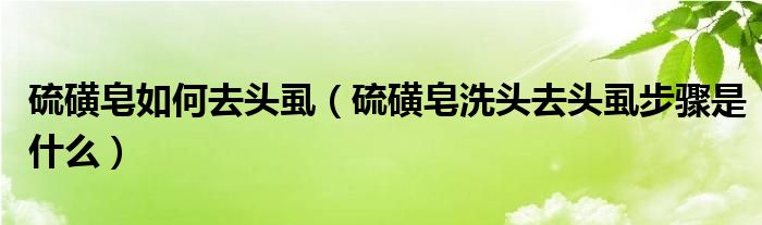 硫磺皂如何去头虱（硫磺皂洗头去头虱步骤是什么）