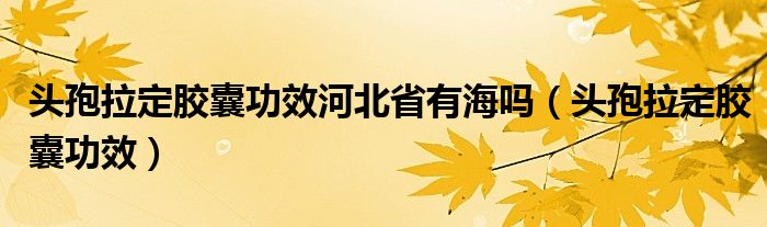 头孢拉定胶囊功效河北省有海吗（头孢拉定胶囊功效）