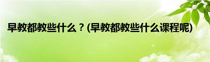 早教都教些什么？(早教都教些什么课程呢)