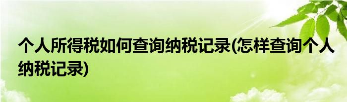 个人所得税如何查询纳税记录(怎样查询个人纳税记录)