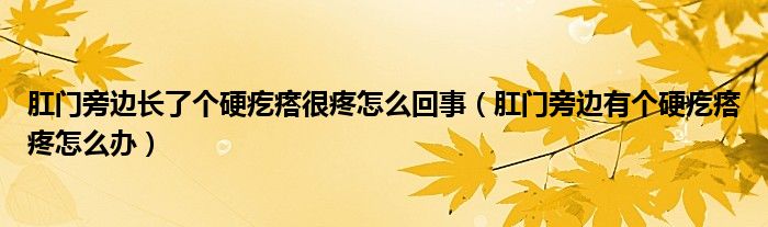 肛门旁边长了个硬疙瘩很疼怎么回事（肛门旁边有个硬疙瘩疼怎么办）