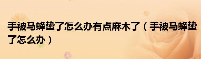 手被马蜂蛰了怎么办有点麻木了（手被马蜂蛰了怎么办）