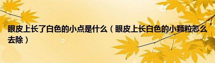 眼皮上长了白色的小点是什么（眼皮上长白色的小颗粒怎么去除）