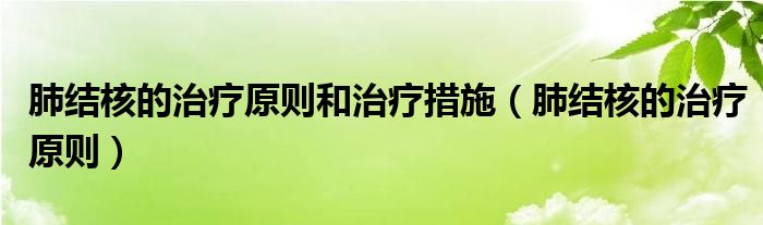 肺结核的治疗原则和治疗措施（肺结核的治疗原则）