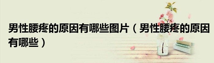 男性腰疼的原因有哪些图片（男性腰疼的原因有哪些）