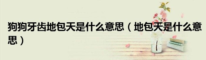 狗狗牙齿地包天是什么意思（地包天是什么意思）