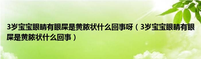 3岁宝宝眼睛有眼屎是黄脓状什么回事呀（3岁宝宝眼睛有眼屎是黄脓状什么回事）