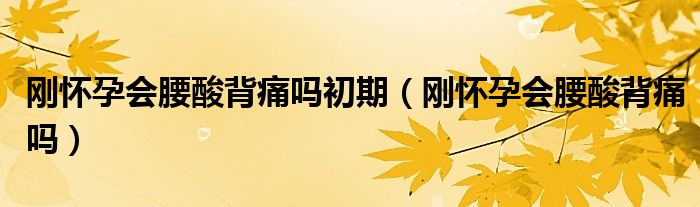 刚怀孕会腰酸背痛吗初期（刚怀孕会腰酸背痛吗）