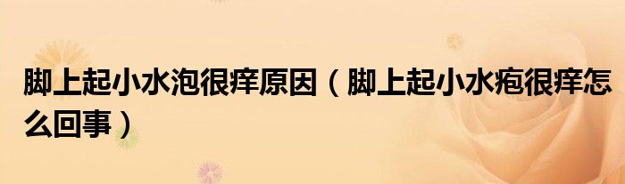 脚上起小水泡很痒原因（脚上起小水疱很痒怎么回事）