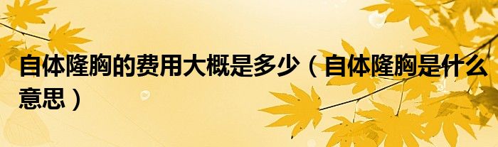 自体隆胸的费用大概是多少（自体隆胸是什么意思）
