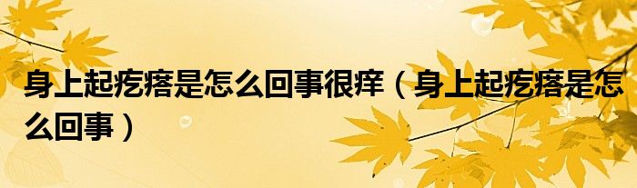 身上起疙瘩是怎么回事很痒（身上起疙瘩是怎么回事）