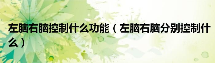 左脑右脑控制什么功能（左脑右脑分别控制什么）