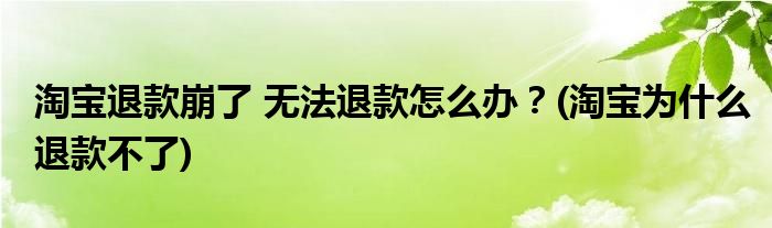 淘宝退款崩了 无法退款怎么办？(淘宝为什么退款不了)