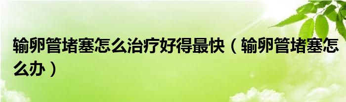 输卵管堵塞怎么治疗好得最快（输卵管堵塞怎么办）