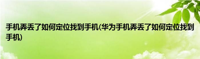 手机弄丢了如何定位找到手机(华为手机弄丢了如何定位找到手机)