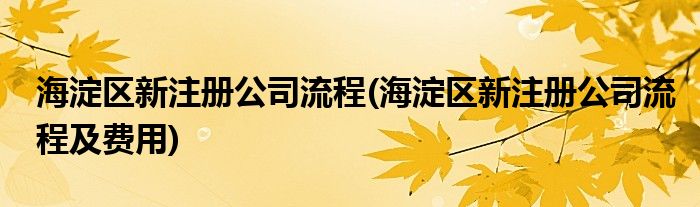 海淀区新注册公司流程(海淀区新注册公司流程及费用)