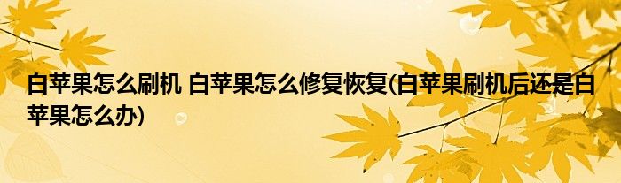 白苹果怎么刷机 白苹果怎么修复恢复(白苹果刷机后还是白苹果怎么办)