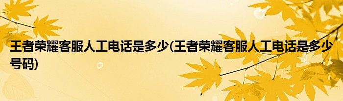 王者荣耀客服人工电话是多少(王者荣耀客服人工电话是多少号码)