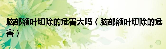 脑部额叶切除的危害大吗（脑部额叶切除的危害）