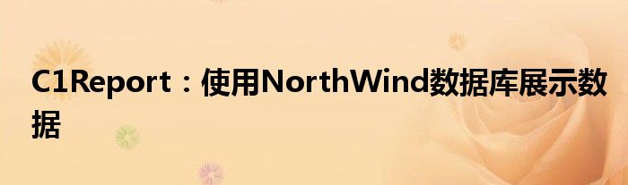 C1Report：使用NorthWind数据库展示数据