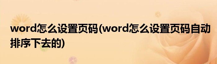 word怎么设置页码(word怎么设置页码自动排序下去的)