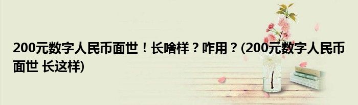 200元数字人民币面世！长啥样？咋用？(200元数字人民币面世 长这样)
