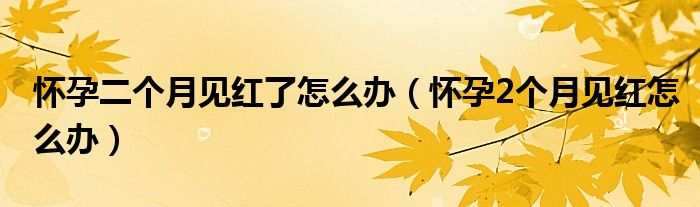 怀孕二个月见红了怎么办（怀孕2个月见红怎么办）