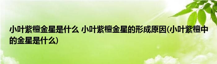 小叶紫檀金星是什么 小叶紫檀金星的形成原因(小叶紫檀中的金星是什么)