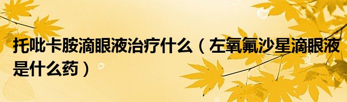 托吡卡胺滴眼液治疗什么（左氧氟沙星滴眼液是什么药）