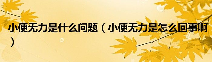 小便无力是什么问题（小便无力是怎么回事啊）