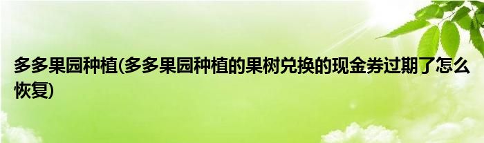 多多果园种植(多多果园种植的果树兑换的现金券过期了怎么恢复)