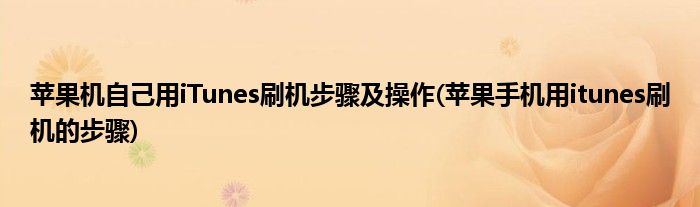 苹果机自己用iTunes刷机步骤及操作(苹果手机用itunes刷机的步骤)