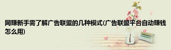 网赚新手需了解广告联盟的几种模式(广告联盟平台自动赚钱怎么用)