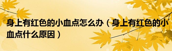 身上有红色的小血点怎么办（身上有红色的小血点什么原因）