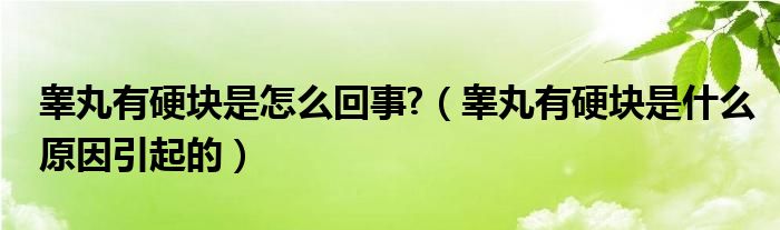 睾丸有硬块是怎么回事?（睾丸有硬块是什么原因引起的）