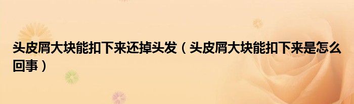 头皮屑大块能扣下来还掉头发（头皮屑大块能扣下来是怎么回事）