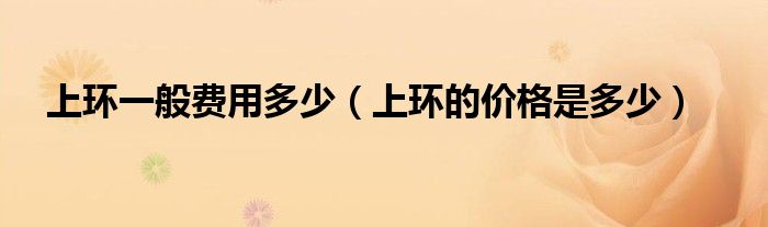 上环一般费用多少（上环的价格是多少）