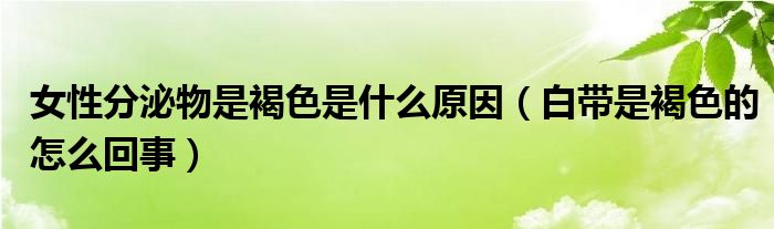 女性分泌物是褐色是什么原因（白带是褐色的怎么回事）