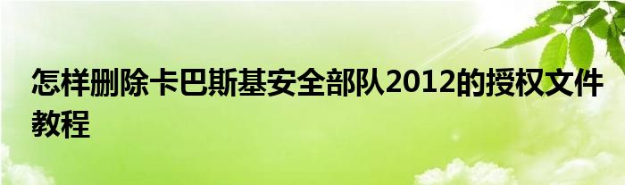 怎样删除卡巴斯基安全部队2012的授权文件教程
