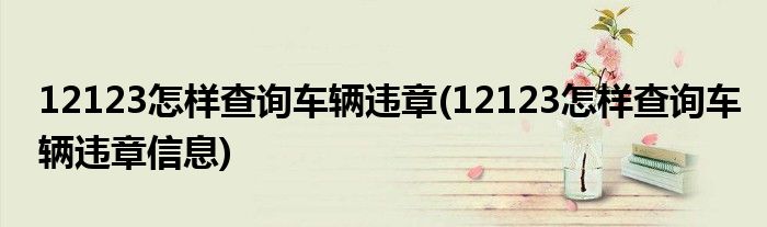 12123怎样查询车辆违章(12123怎样查询车辆违章信息)