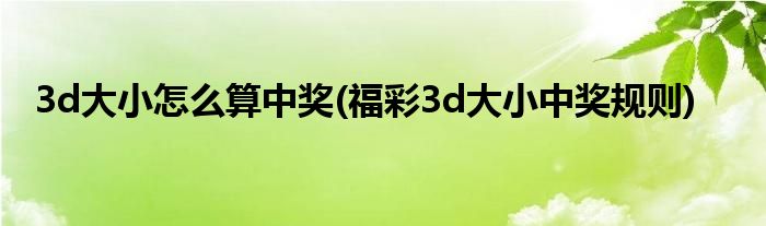 3d大小怎么算中奖(福彩3d大小中奖规则)