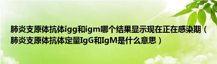 肺炎支原体抗体igg和igm哪个结果显示现在正在感染期（肺炎支原体抗体定量IgG和IgM是什么意思）