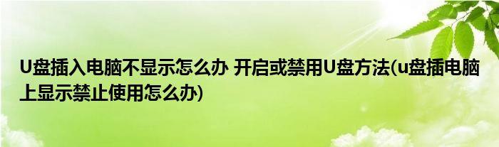 U盘插入电脑不显示怎么办 开启或禁用U盘方法(u盘插电脑上显示禁止使用怎么办)