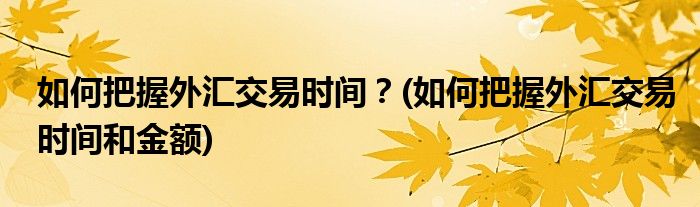 如何把握外汇交易时间？(如何把握外汇交易时间和金额)